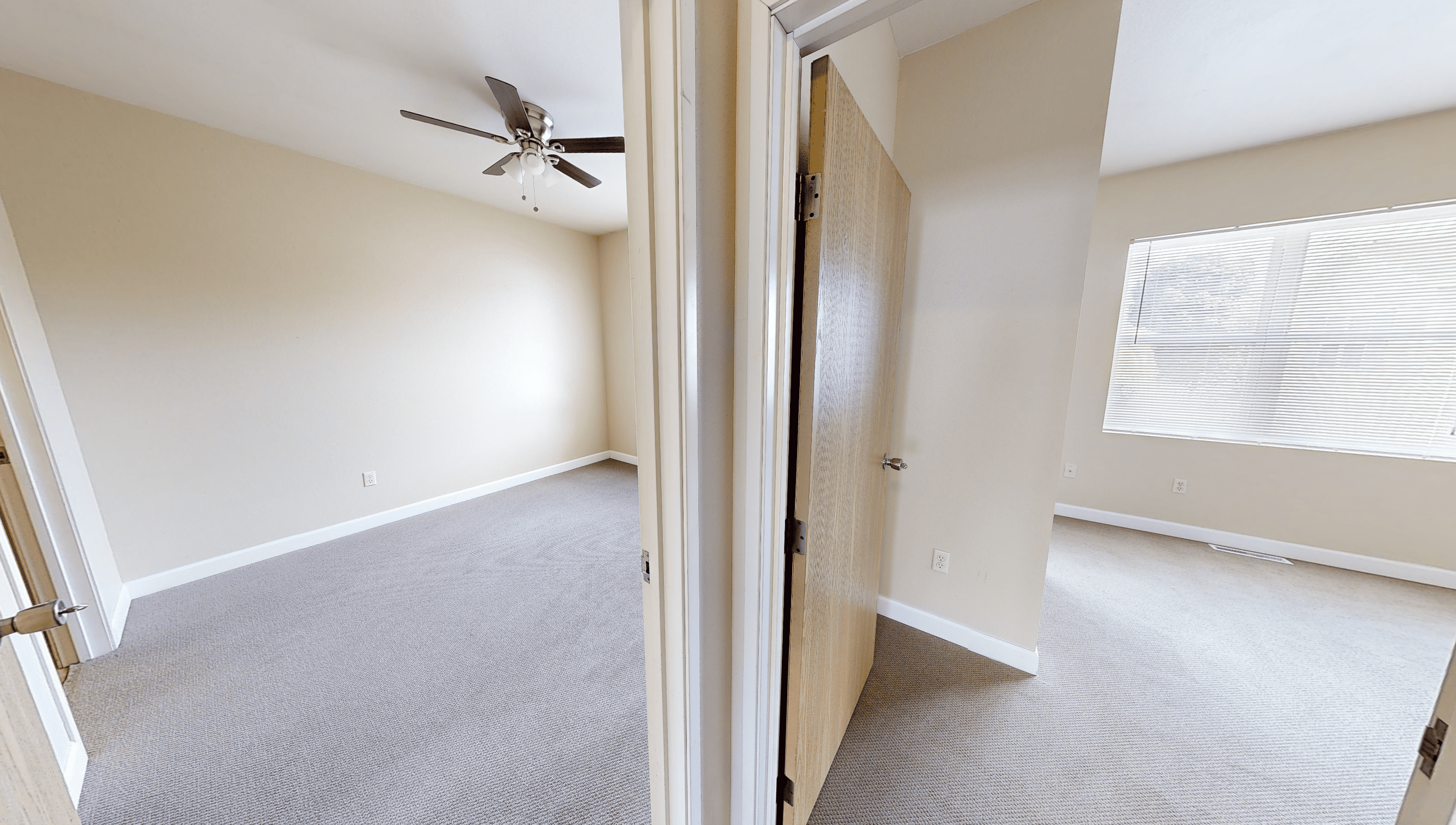 Gallery Photo 24